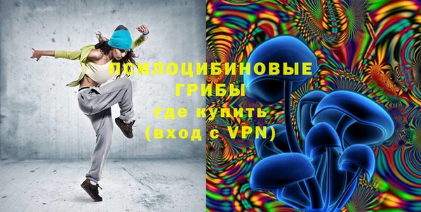 стафф Пестово